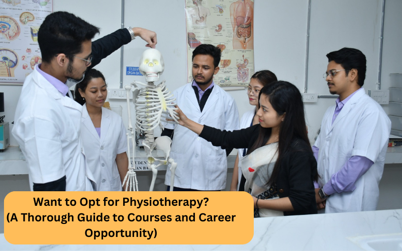 Want-to-Opt-for-Physiotherapy----A-Thorough-Guide-to-Courses-and-Career-Opportunity-
